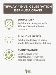 2 Best Types of Grass for Soccer Fields: Celebration Bermuda and Tifway