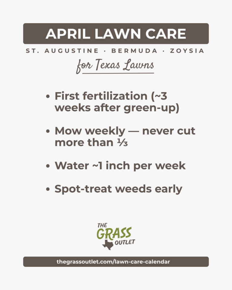 Texas lawn care timeline — April fertilizing and mowing schedule for Bermuda, Zoysia and St. Augustine