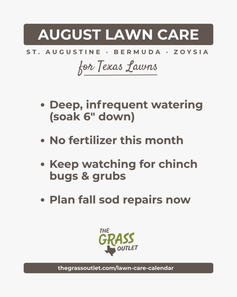 Texas lawn care timeline — August lawn survival schedule for Bermuda, Zoysia and St. Augustine