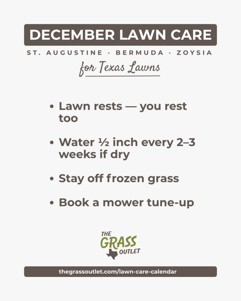 Texas lawn care timeline — December dormant season schedule for Bermuda, Zoysia and St. Augustine