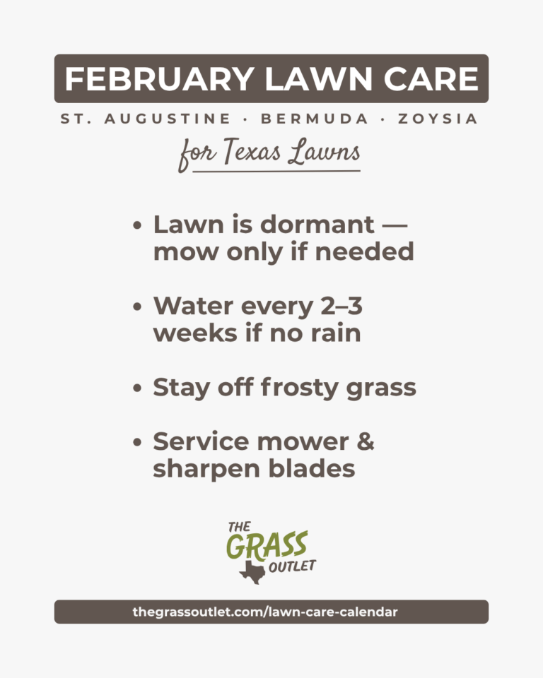 Texas lawn care timeline — February pre-emergent and soil testing schedule for Bermuda, Zoysia and St. Augustine