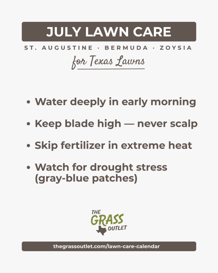 Texas lawn care timeline — July heat and drought care schedule for Bermuda, Zoysia and St. Augustine