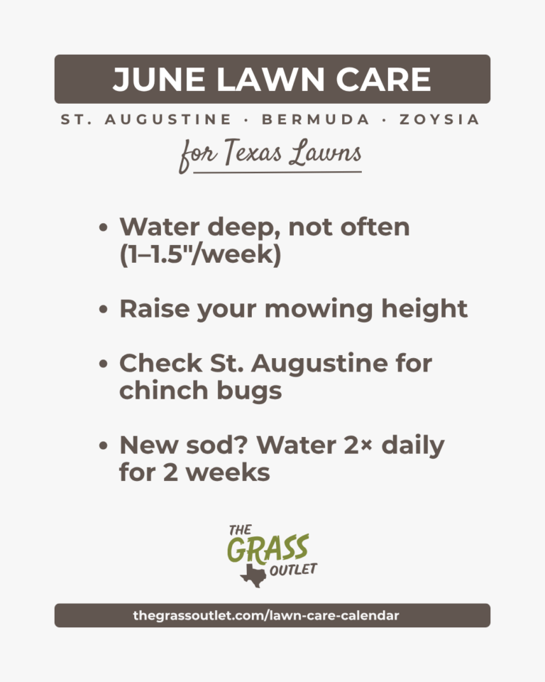 Texas lawn care timeline — June summer watering and mowing schedule for Bermuda, Zoysia and St. Augustine
