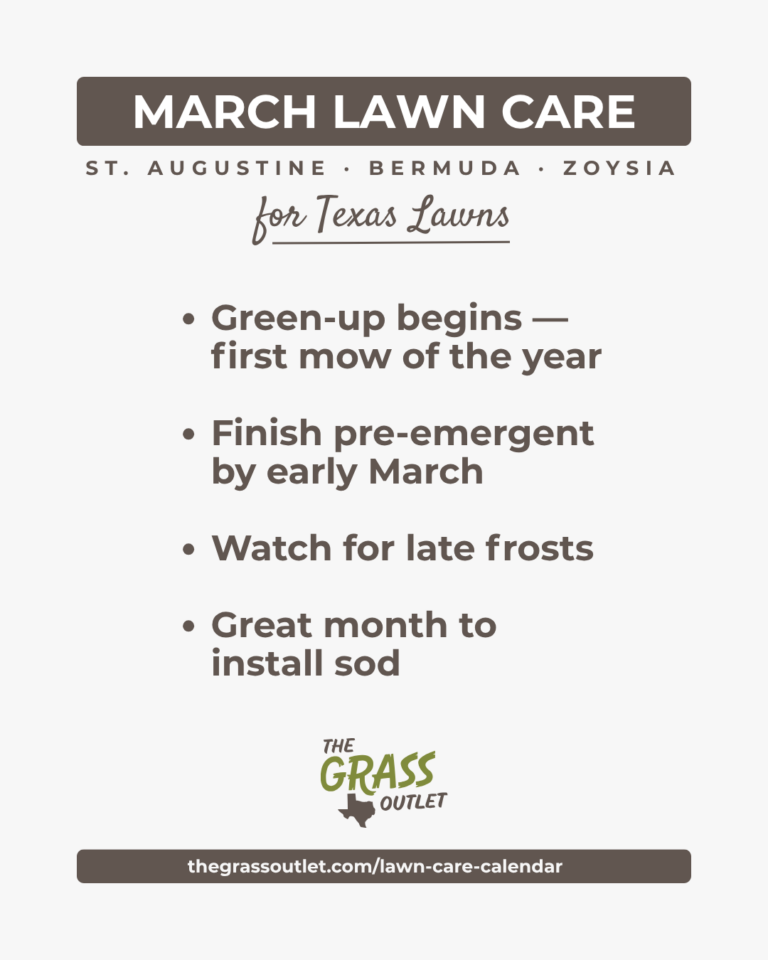 Texas lawn care timeline — March green-up and sod installation schedule for Bermuda, Zoysia and St. Augustine