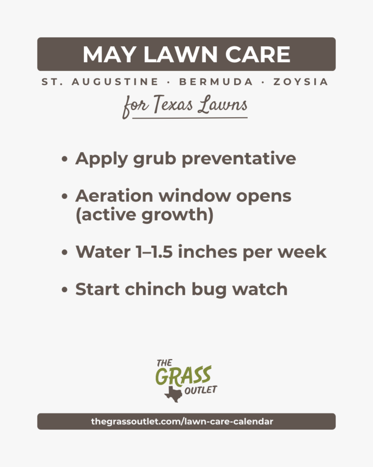 Texas lawn care timeline — May grub prevention and aeration schedule for Bermuda, Zoysia and St. Augustine