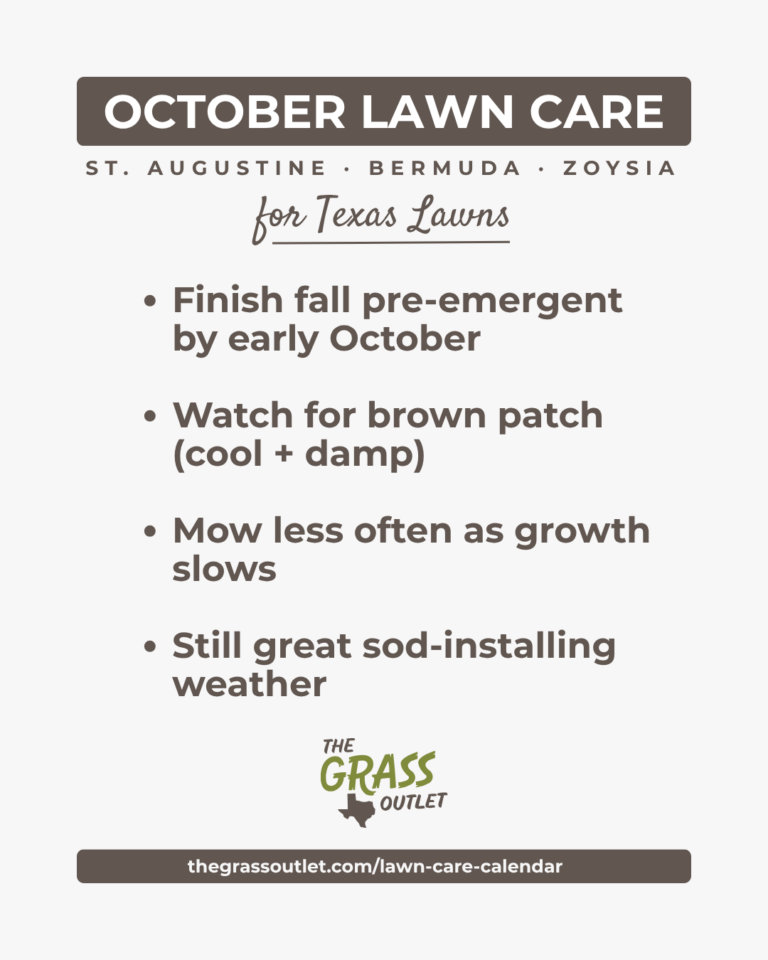 Texas lawn care timeline — October brown patch and pre-emergent schedule for Bermuda, Zoysia and St. Augustine
