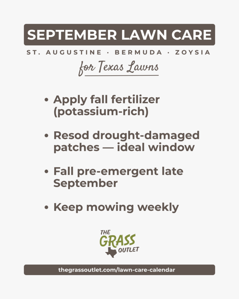 Texas lawn care timeline — September fall fertilizing and sod repair schedule for Bermuda, Zoysia and St. Augustine