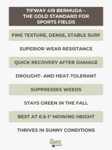 2 Best Types of Grass for Soccer Fields: Celebration Bermuda and Tifway
