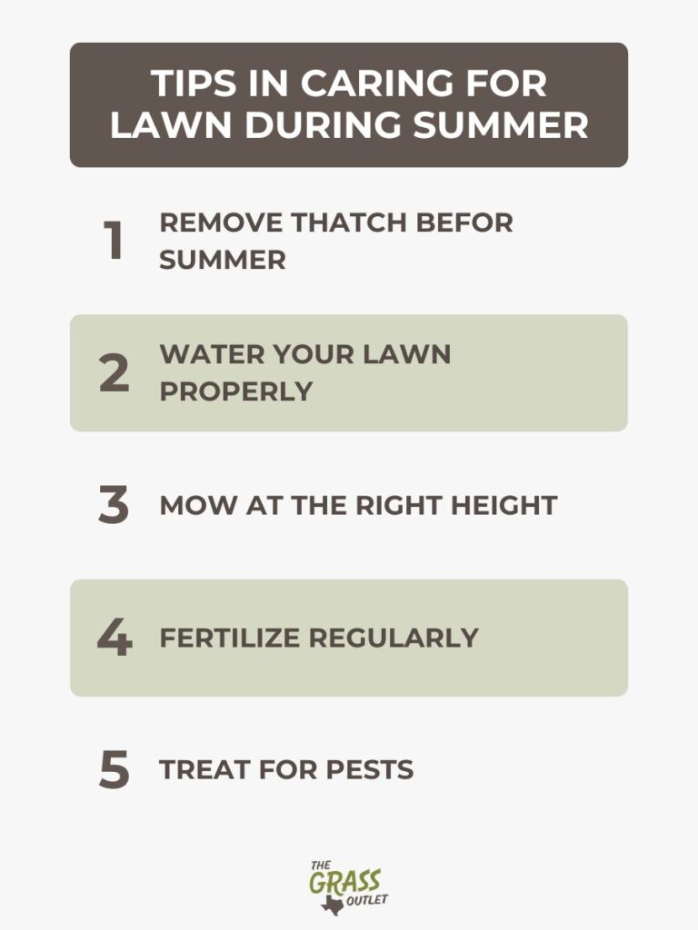 Tips in caring for lawn during summer