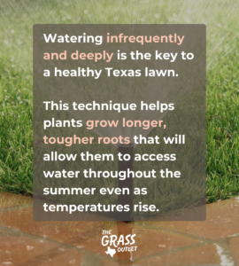 tips for watering lawn during Texas summer