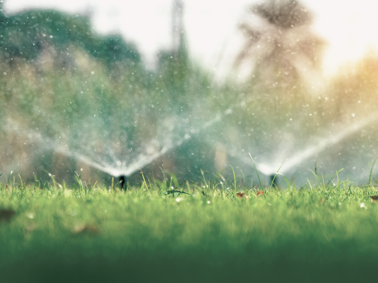 watering lawn with sprinkler
