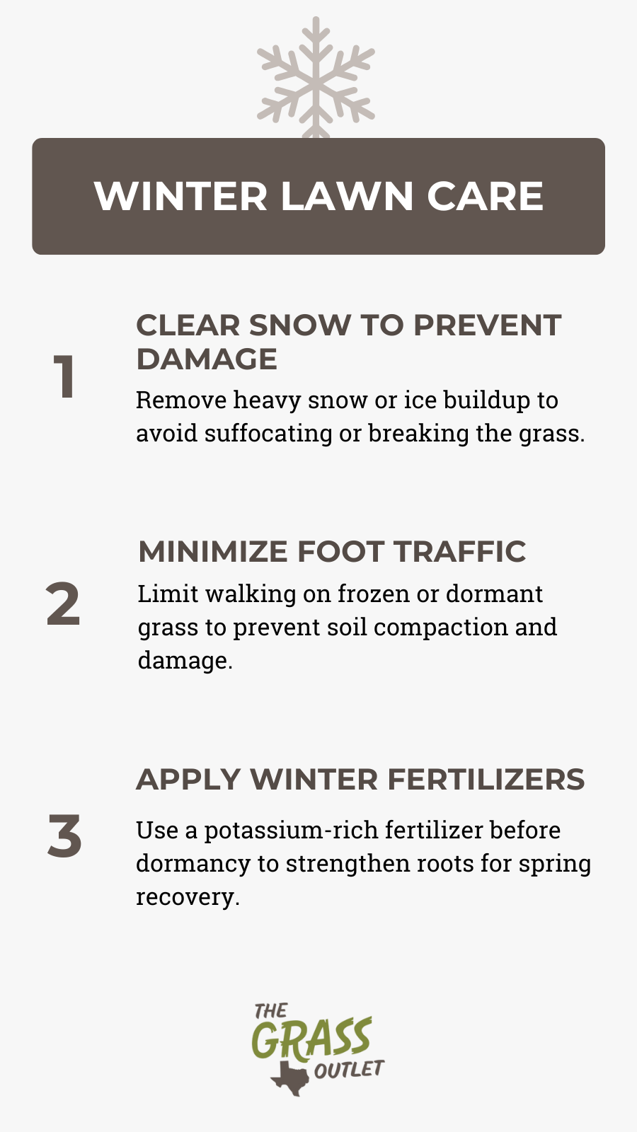 Visual showing lawn care tips for winter season