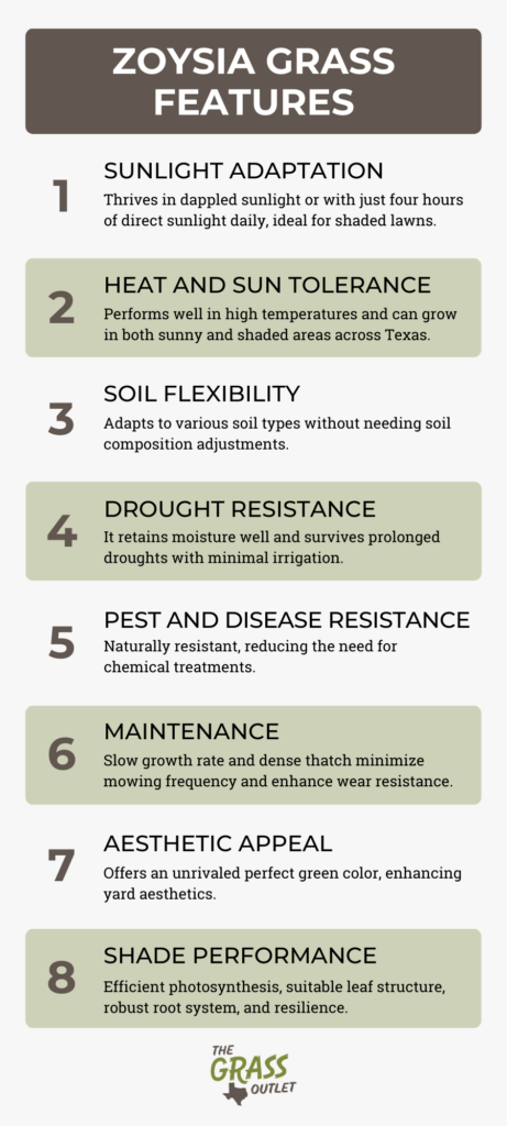 Infographic about Zoysia Grass Features