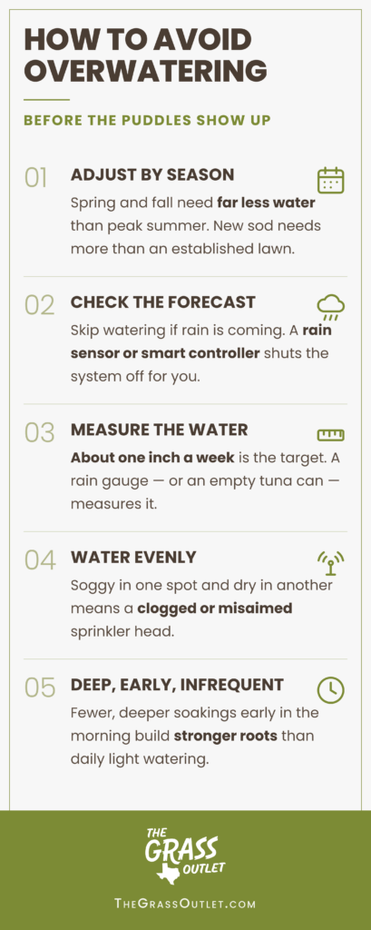 Infographic with five habits that prevent overwatering a lawn: adjust the schedule with the seasons, check the forecast and use a rain sensor, measure about one inch a week with a rain gauge, fix clogged or misaimed sprinkler heads so water lands evenly, and water deep and infrequently early in the morning.