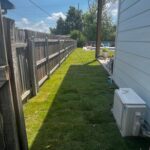 Reviewer's second photo of his back yard with fresh sod grass