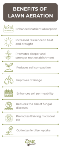 Visual showing benefits of lawn aeration