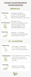 Visual showing maintenance comparison for bermuda and st augustine grasses