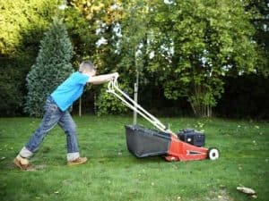 Can i mow a best sale wet lawn