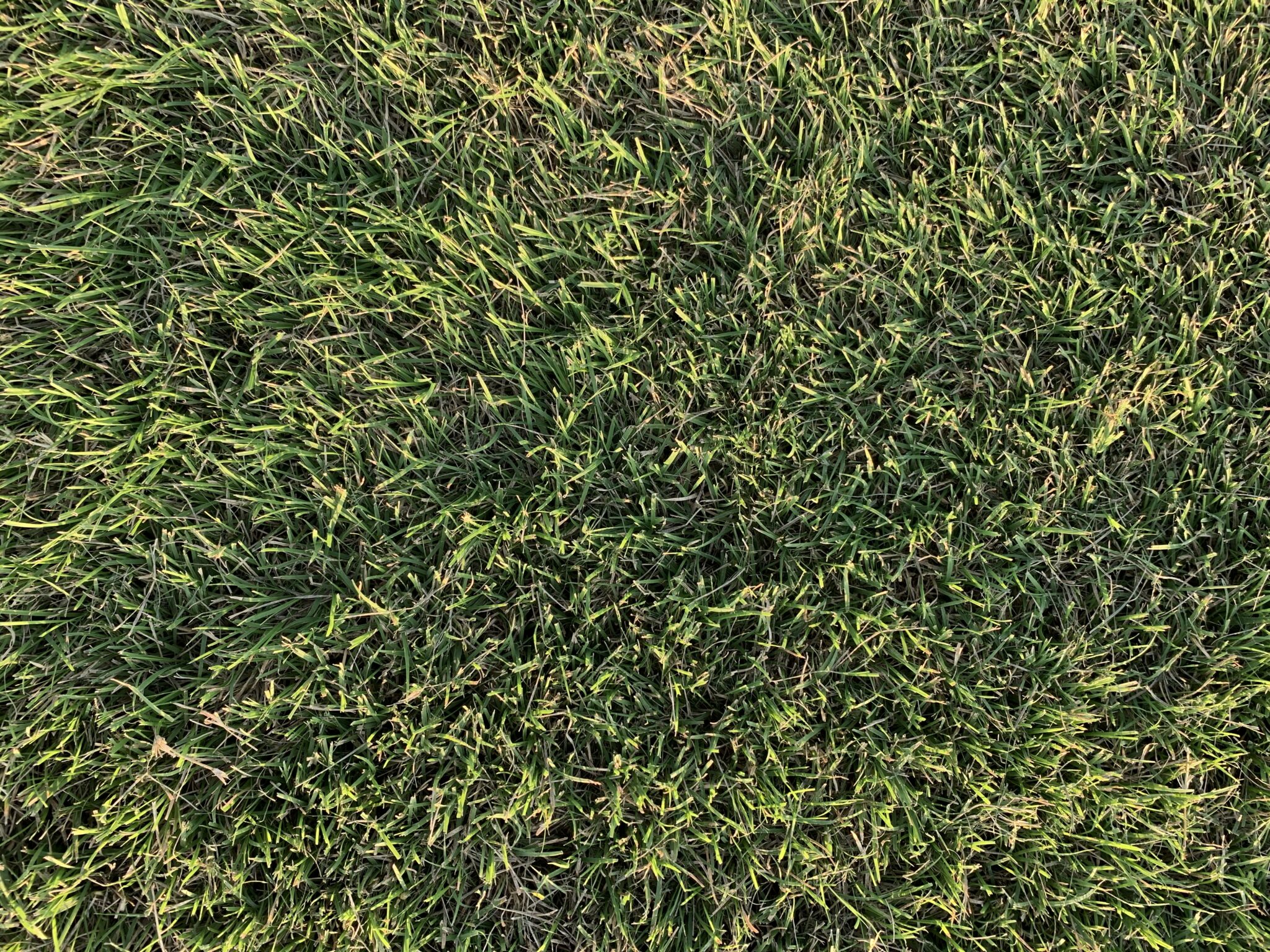 The Grass Outlet