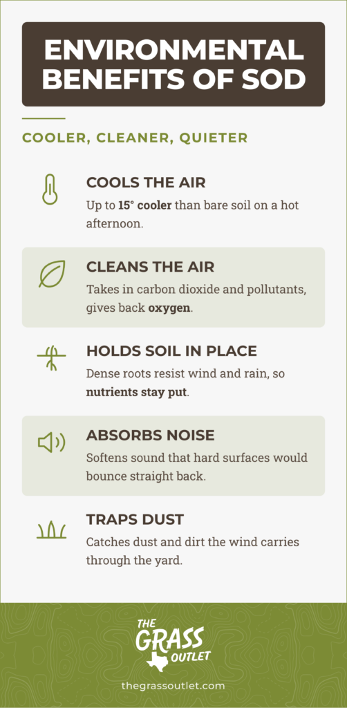 Infographic listing five environmental benefits of sod: it cools the air to up to fifteen degrees cooler than bare soil, cleans the air by taking in carbon dioxide and pollutants and giving back oxygen, holds soil in place with dense roots that resist wind and rain erosion, absorbs noise that hard surfaces would reflect, and traps dust and dirt carried by the wind.