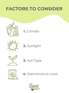 Visual depicting factors you should consider when choosing between common and hybrid bermuda grasses