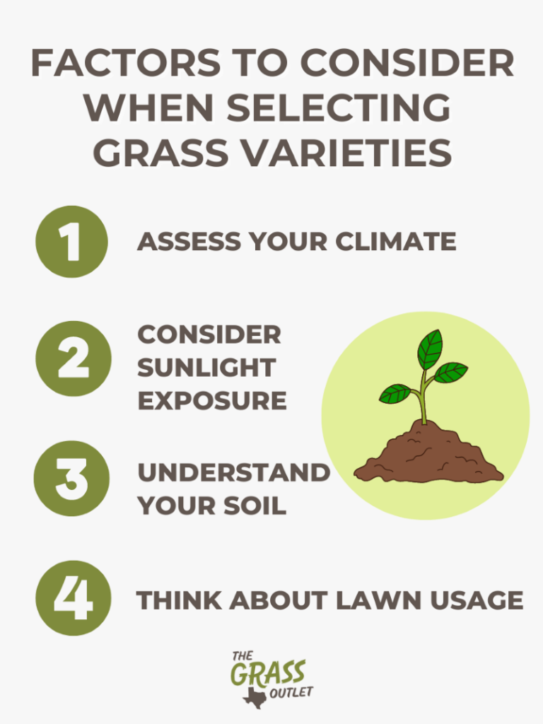 An infographic describing what to consider when selecting grass variety
