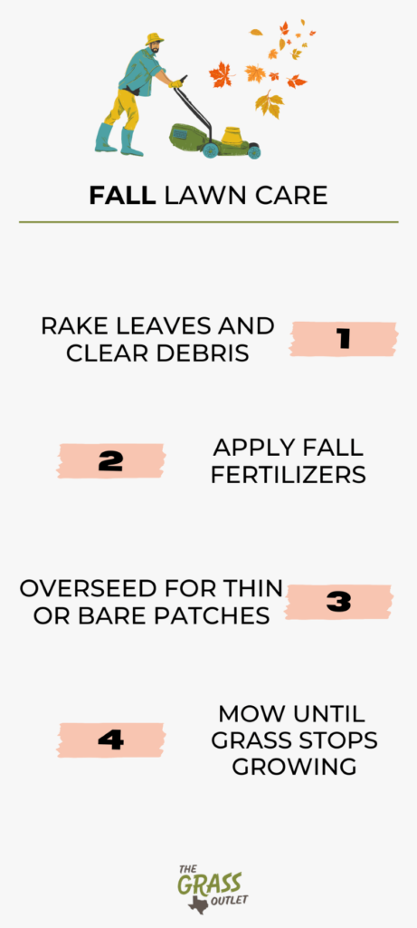Visual showing lawn care tips for fall