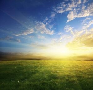 photo field of spring grass and sunset