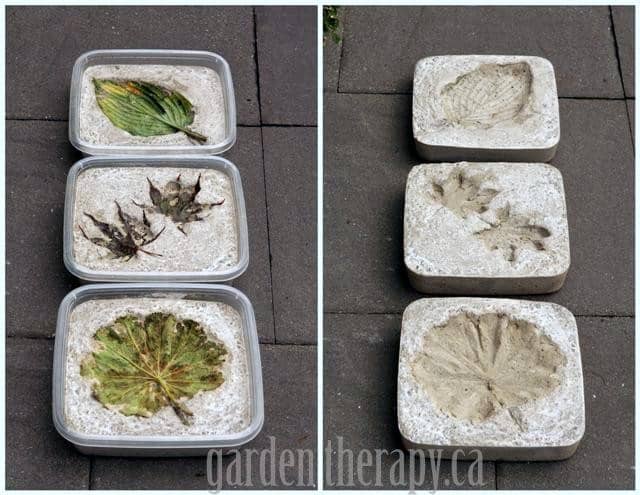 Cement imprints of leaves