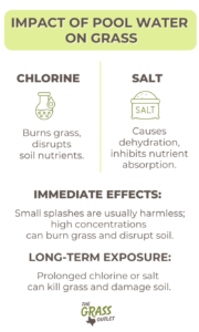 Visual describing the effects pool water has on grass