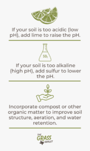 Visual showing ingredients to amend the soil for grass