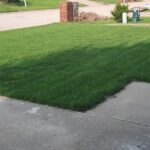 Image of our customers lawn