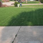 Second image of our customer's lawn