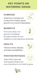 Visual showing key points on lawn watering