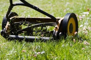 push lawn mower on outgrown grass