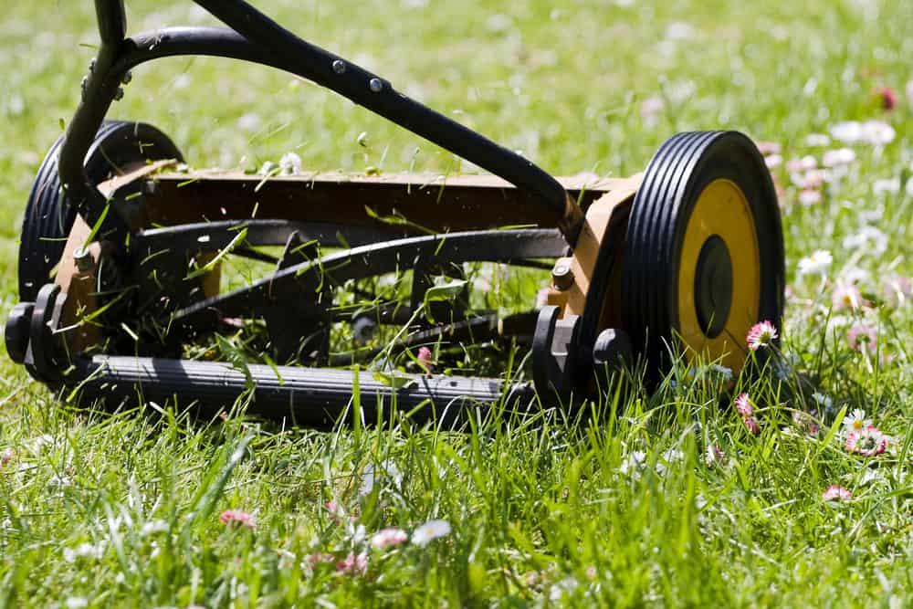 push lawn mower, saving money