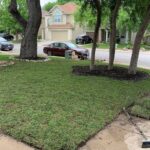 front yard with fresh lawn