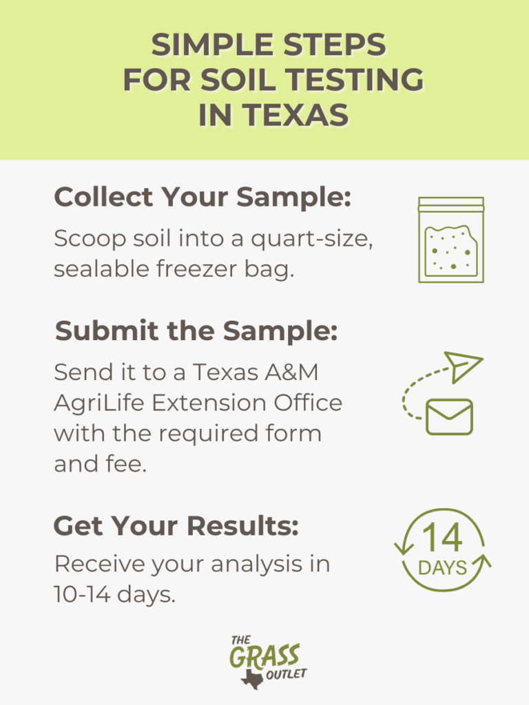 Simple Steps for Soil Testing in Texas