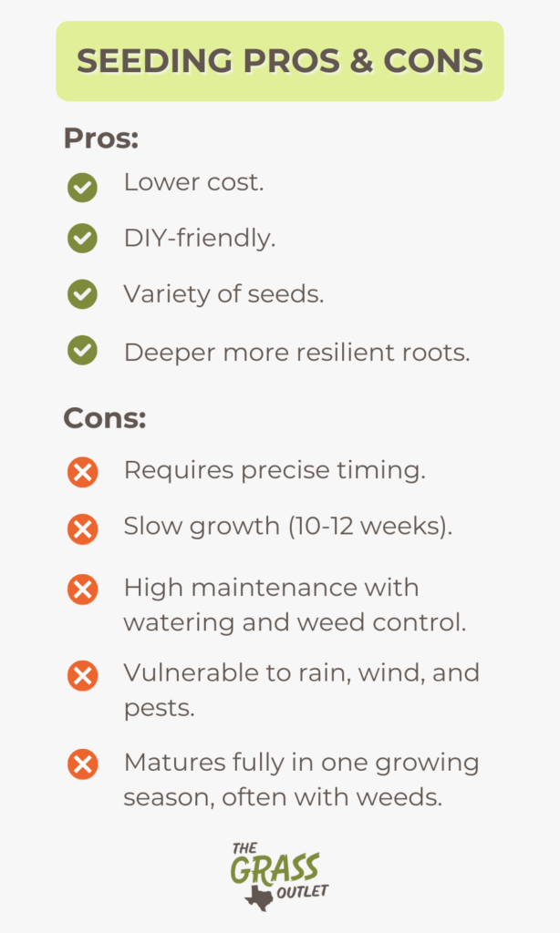 Seeding: Pros & Cons