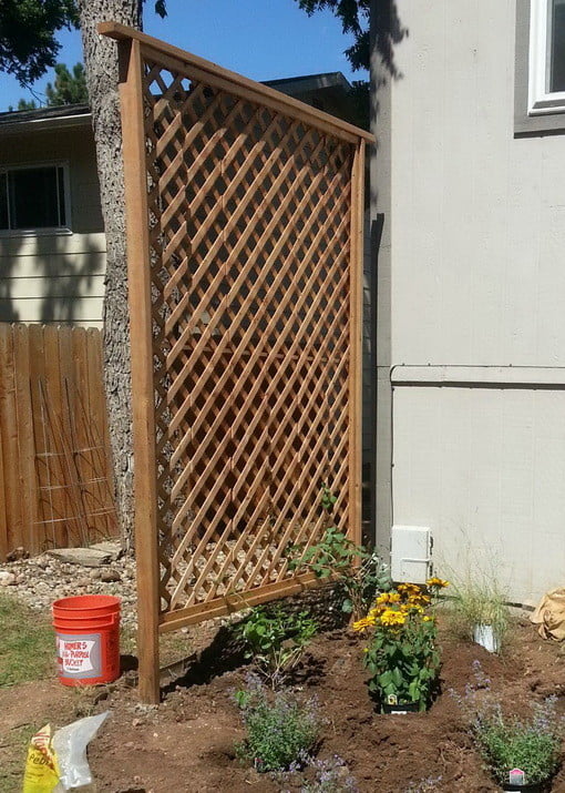 Wall trellis