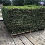 a pallet of new sod