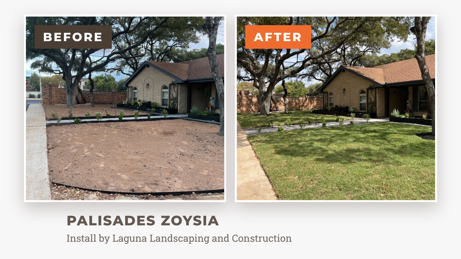 Before and after: Palisades Zoysia, install by Laguna Landscaping and Construction