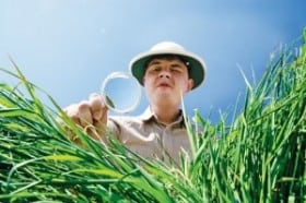 texas sod retailer