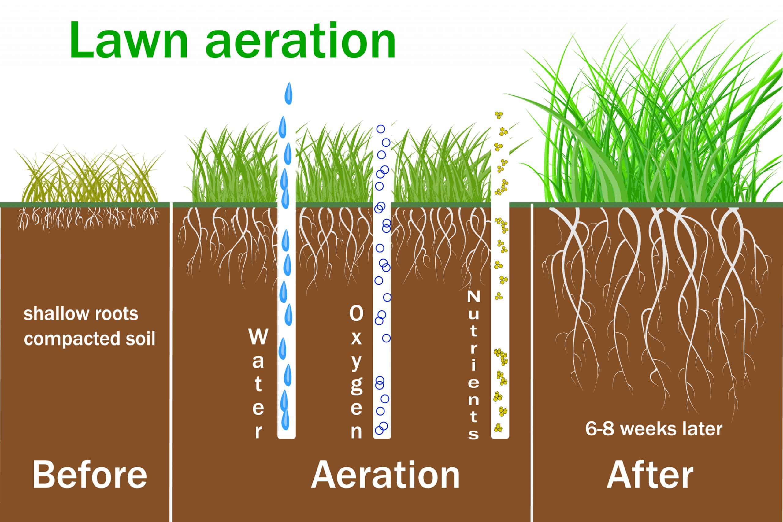 Lawn Aeration Tips The Grass Outlet Austin Tx