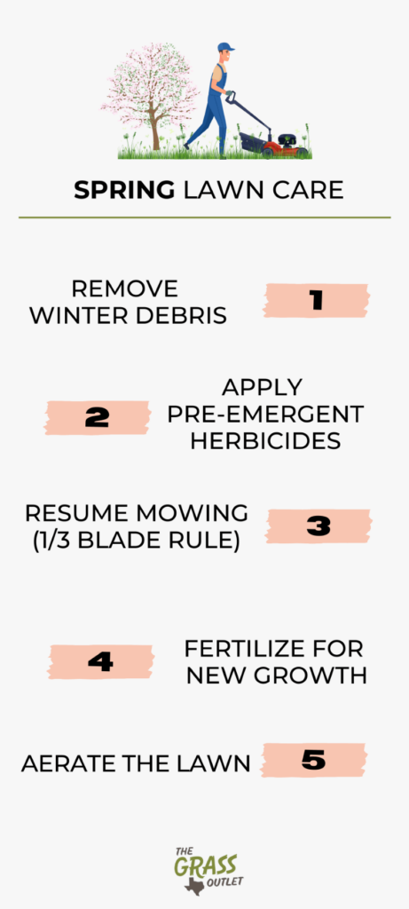 Visual showing lawn care tips for spring