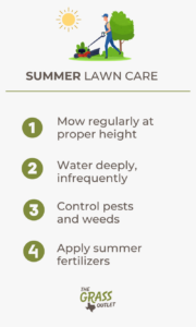 Visual showing lawn care tips for summer season