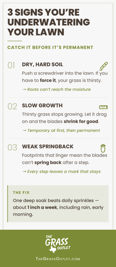 Infographic showing three signs of an underwatered lawn — soil too hard for a screwdriver, growth that stalls and shrinks the blades, and footprints that don't spring back. The fix is one deep soak of about 1 inch a week.