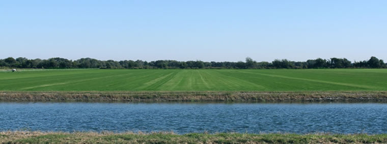 empty field next to a body of water