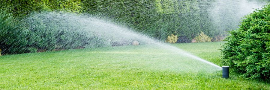 Avoid Overspraying and Overpaying for Water with These Lawn