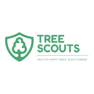 Tree Scouts